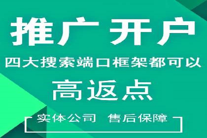 百度广告竞价效果评估：某知名品牌的投放效果分析